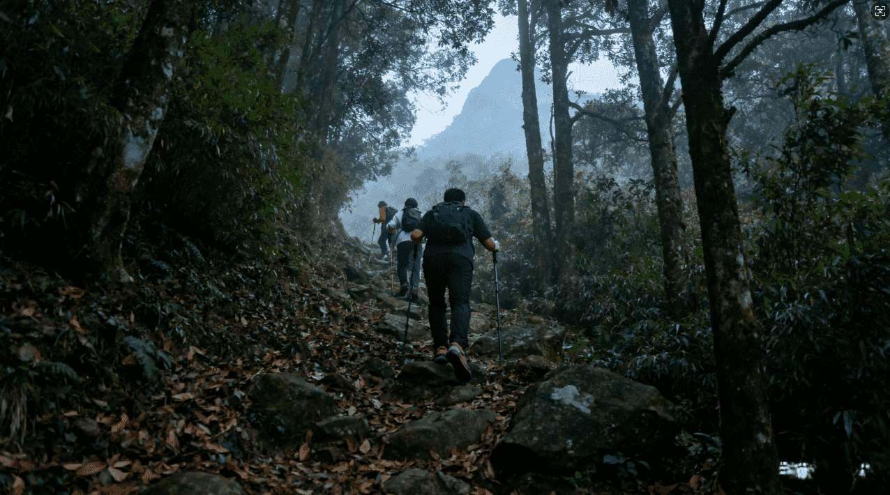 手雷黑洞加速器揭秘：破解游戏内无限击杀的秘密秘技全攻略